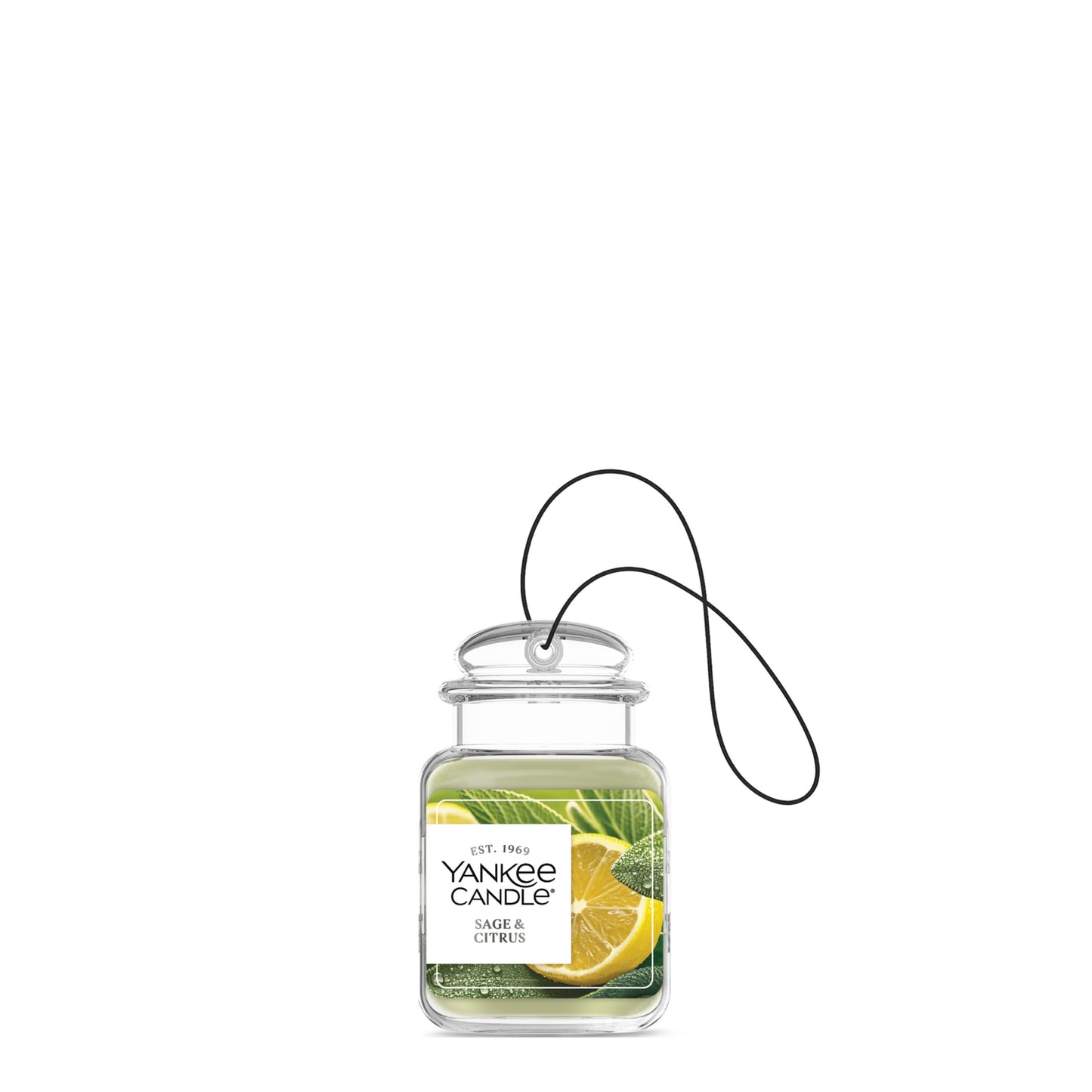 Sage & Citrus Studio 5-0751
