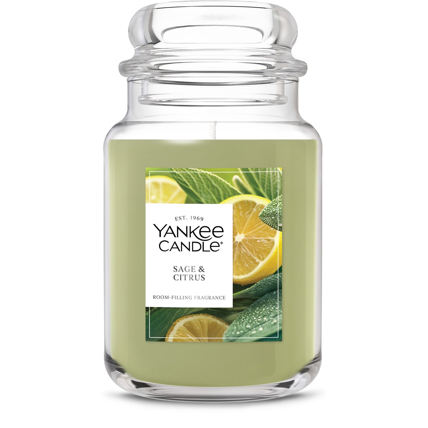 Sage & Citrus Studio 5-0751